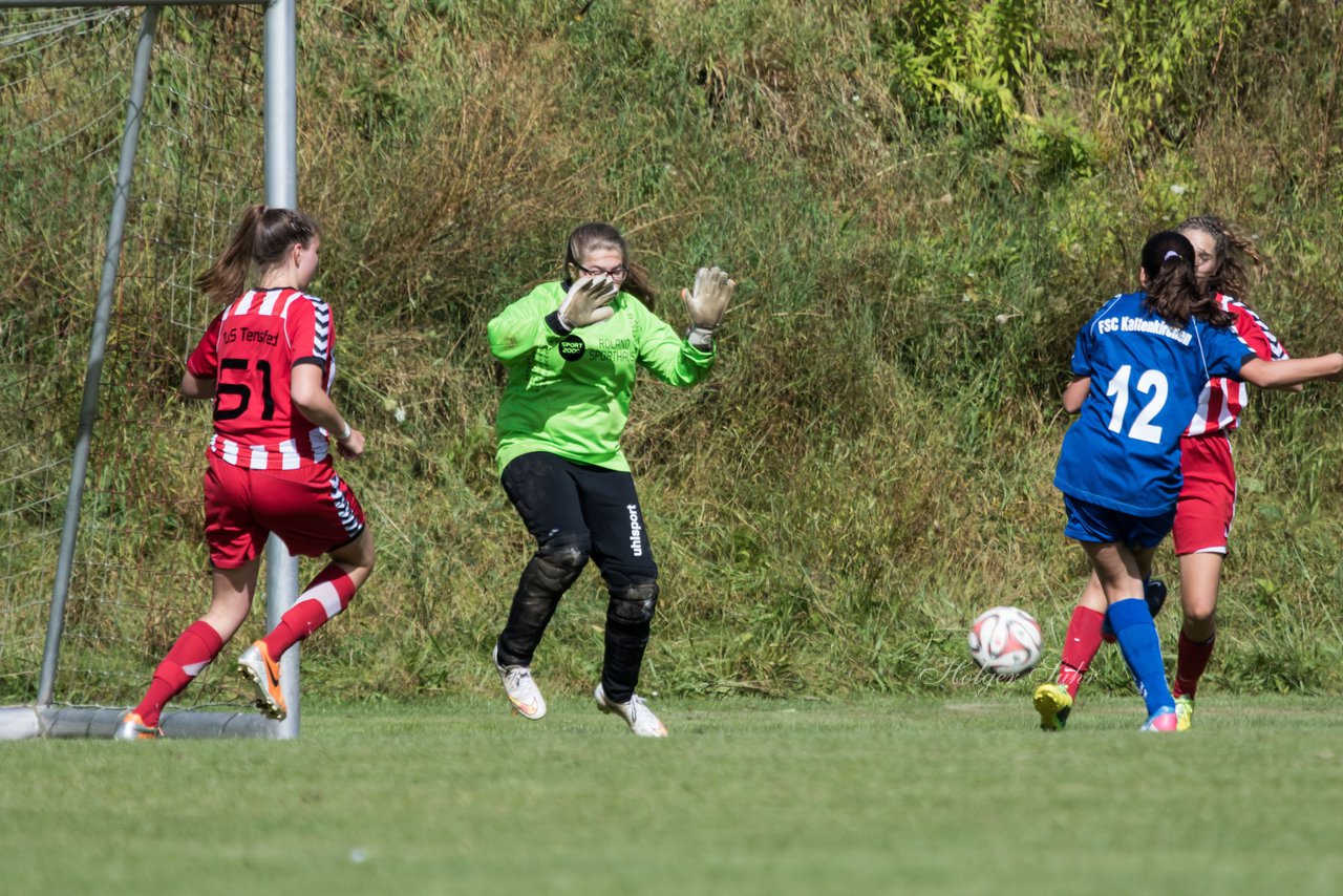 Bild 228 - B-Juniorinnen TuS Tensfeld - FSC Kaltenkirchen : Ergebnis: 3:6